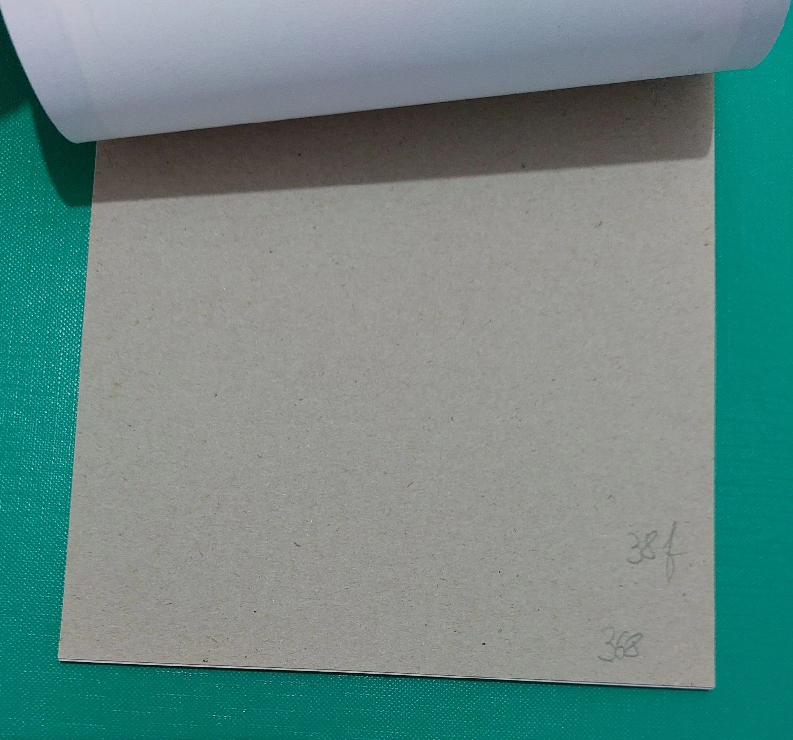 Bloco diddl A5 N°368 – photo 4